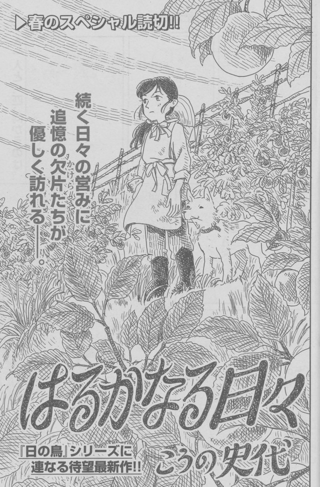 こうの史代の新作読切がゴラクに 震災後の東北で生きる1人の女性を描く ベルアラートニュース こうの史代の新作読切がゴラクに 震災後の東北で生きる1人の女性を描く ベルアラートニュース