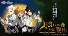 約束のネバーランド 巻 完結 コミックの発売日を通知するベルアラート 約束のネバーランド 巻 完結 コミックの発売日を通知するベルアラート
