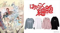 はたらく細胞 6巻 完結 コミックの発売日を通知するベルアラート はたらく細胞 6巻 完結 コミックの発売日を通知するベルアラート