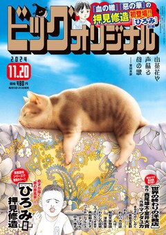 血の轍 17巻 完結【コミックの発売日を通知するベルアラート】