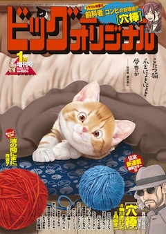 前科者 17巻 完結【コミックの発売日を通知するベルアラート】