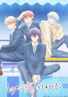 どうせ、恋してしまうんだ。 最新刊（次は12巻）の発売日を